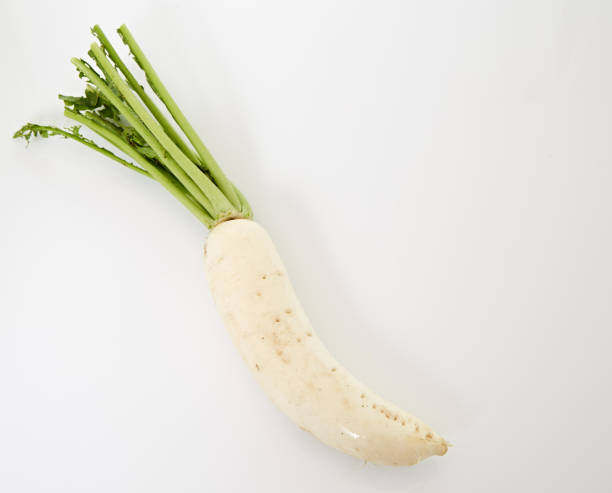 Large Japanese Daikon Radish Or Mooli Stok Fotoğraflar & Beyaz'nin