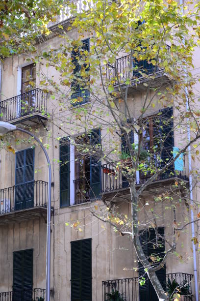 istock House facades / city views Palma de Mallorca - Spain 664365764