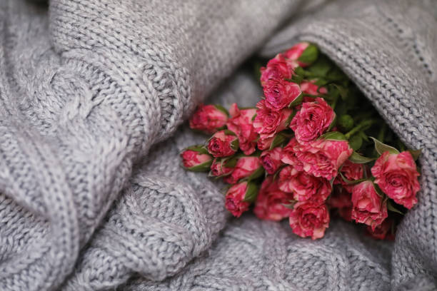 istock Bouquet of red roses on textile sweater 664370152