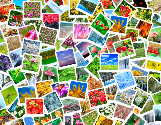 istock A lot of nature photos 664374568