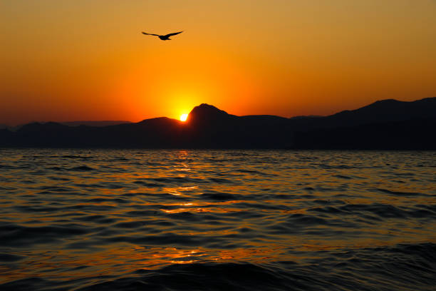 istock Sunset, Evening, Landscape, Twilight, Landscape, Black Sea, Sea 664385378