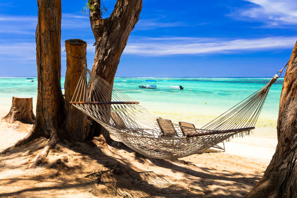 istock tropical holidays - relax in hammock on the beach 664390670