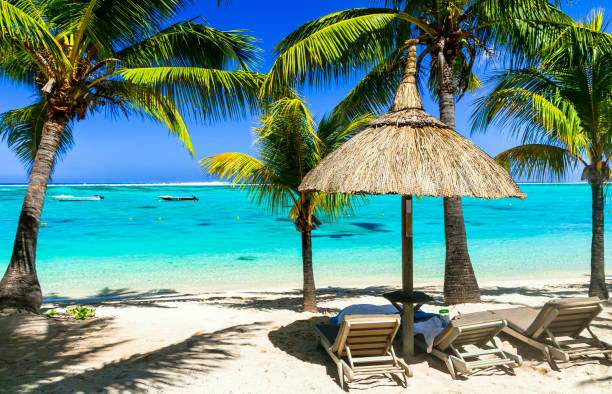 istock Relaxing tropical holidays with beach chairs under palm trees. 664390672