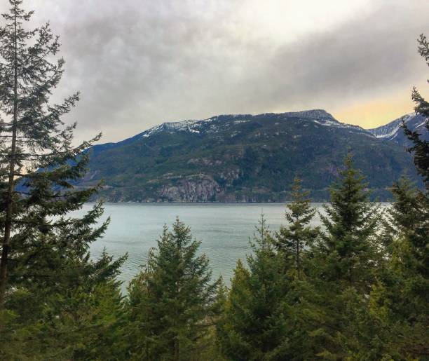 istock Nature of BC 664394226