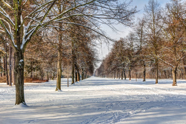 istock Winter landscape in a park 664394692