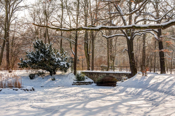 istock Winter landscape in a park 664395218