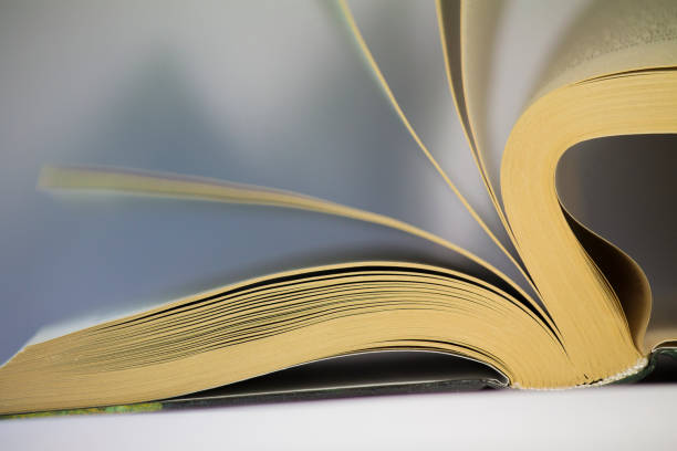 istock Turning the pages of a book 664398180