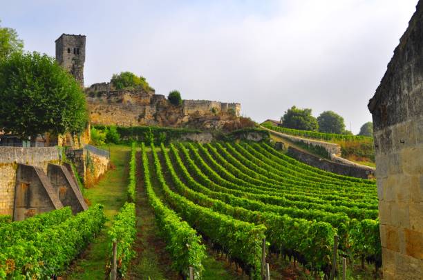 istock Saint-Emilion, France 664402608
