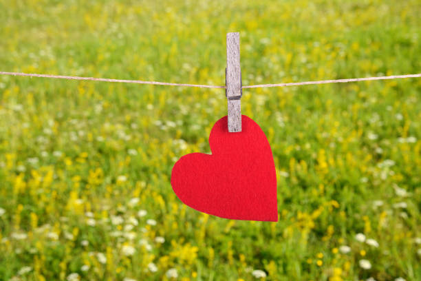 istock Red heart shape hanging, over the natural background 664405698
