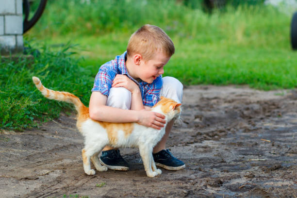 istock smiling little boy affectionately embraces a red cat. outdoor 664405798