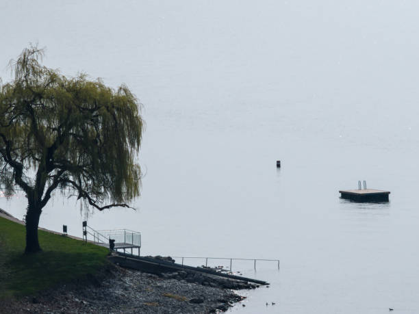 istock Jump Tower in Lake Constance, Germany 664405824