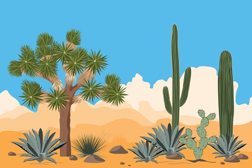 Desert pattern with joshua trees, opuntia, agave, and saguaro cacti. Mountains background. Vector illustration