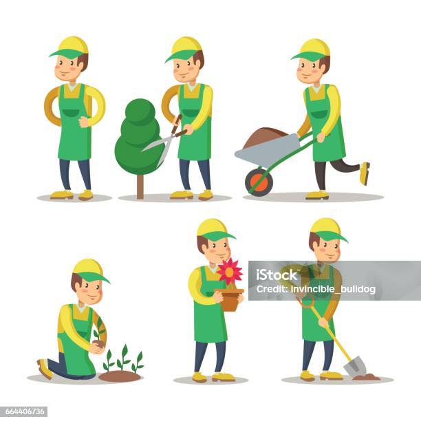 Cartoon Gardener Planting Plant Gardening Stock Illustration - Download Image Now - Gardening, Cutting, Men