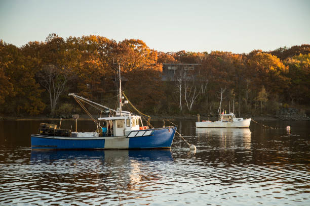 istock Boat on the oceanic coast 664407006
