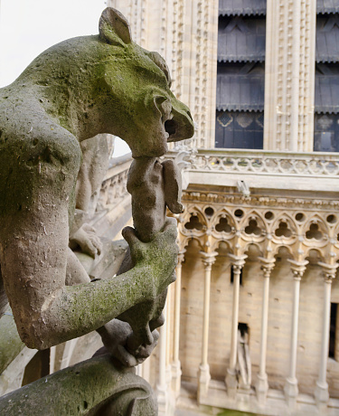 Gargoyle eating an animal in Notre Dame Cathedral, Paris, France