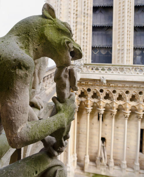 гаргулья есть - gargoyle notre dame paris france architecture стоковые фото и изображения