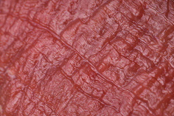 istock Texture of raw meat 664414720
