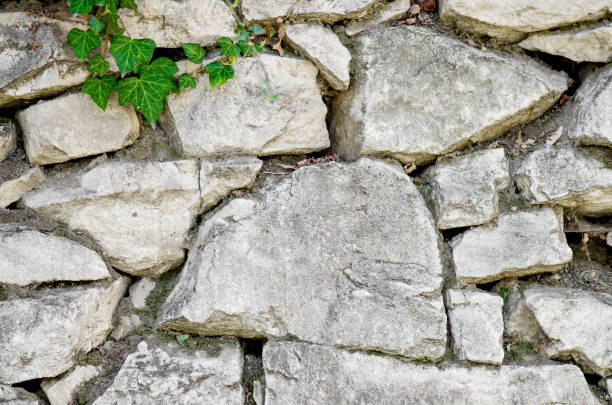 istock Rocks With Green Ivy 664421466