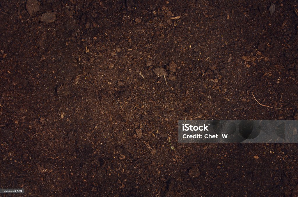 Fertile garden soil texture background top view Fertile soil texture background seen from above, top view. Gardening or planting concept with copy space. Natural pattern Dirt Stock Photo