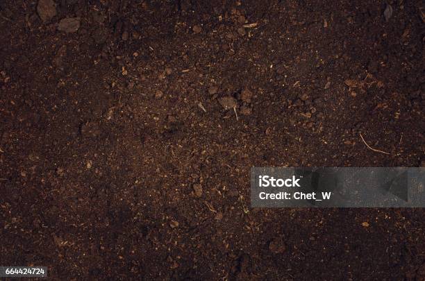 Fertile Garden Soil Texture Background Top View Stock Photo - Download Image Now - Dirt, Textured, Backgrounds