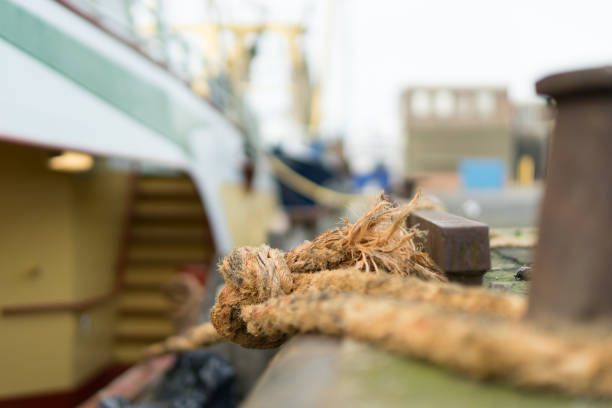 istock Berthed fishing boat 664428554