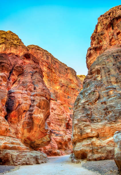 istock Road inside the Siq Canyon at Petra 664431056