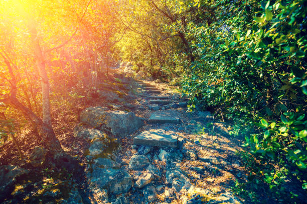 istock Nietzsche footpath,  Eze village, France 664434842
