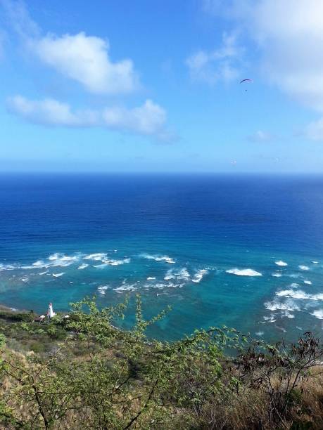 istock Shoreline of Oahu Island Hawaii 664436486
