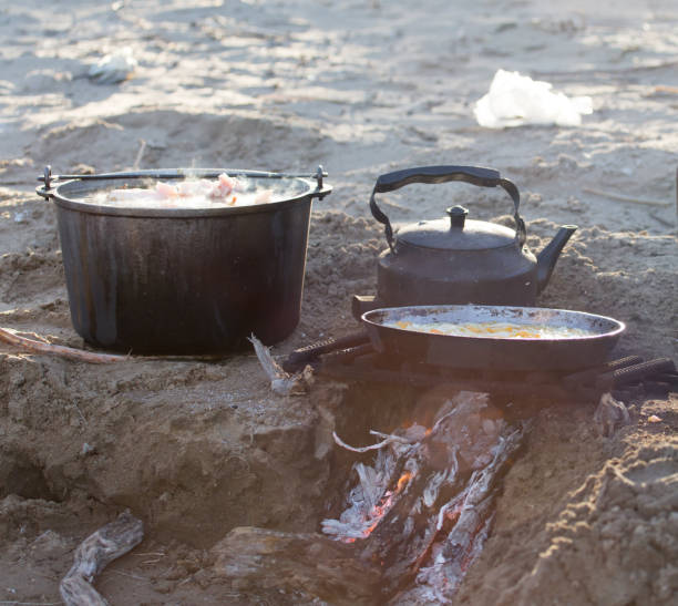 istock cooking on the nature of the stake 664442712