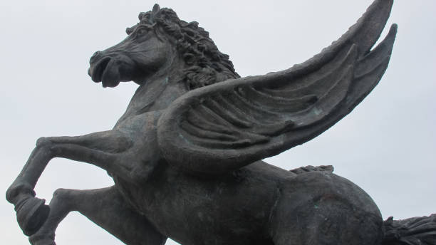 primer plano de ángulo bajo de una estatua de pegaso - mythology horse pegasus black and white fotografías e imágenes de stock