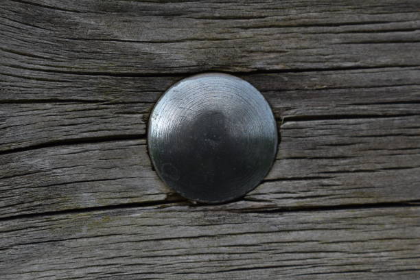 istock A close up of some studded wood. 664446180