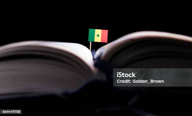 Foto de Senegalês Bandeira No Meio Do Livro Conceito De Conhecimento E Educação e mais fotos de stock de Aluno de Universidade