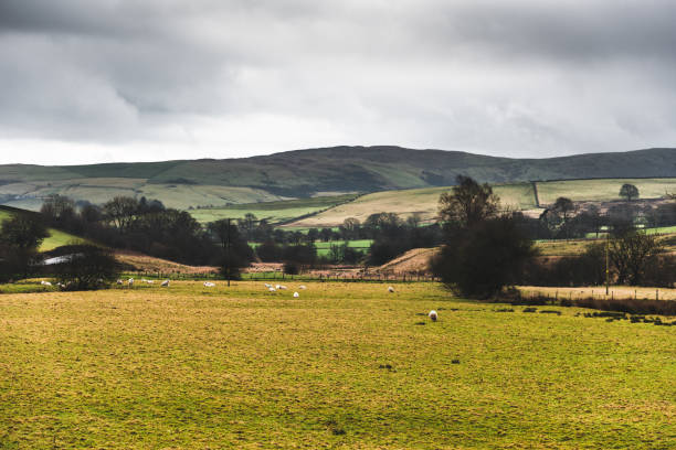 istock south wales landscape 664449764