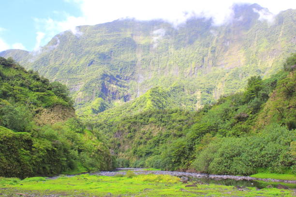 istock Tropical Valley below a Shear Cliff in Tahiti 664451830