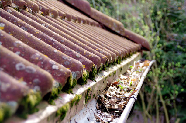 Dirty roof tiles and gutter requiring cleaning
