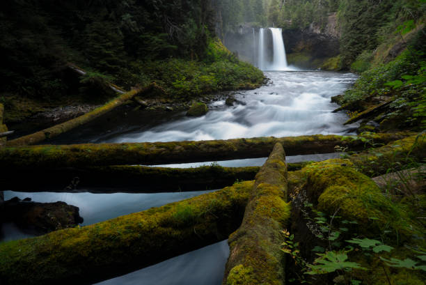 istock Koosah Falls-Waterfall-Willamette National Forest-Oregon 664455800