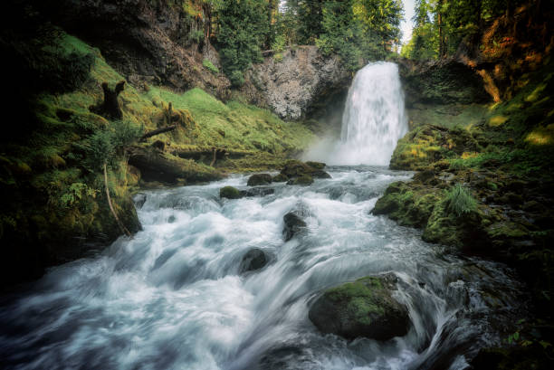 istock Sahalie Falls-Waterfall-Willamette National Forest-Oregon 664455830