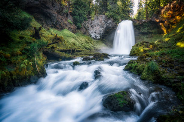 istock Sahalie Falls-Waterfall-Willamette National Forest-Oregon 664455834