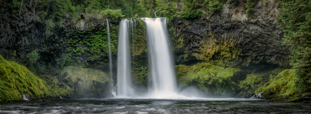 istock Koosah Falls-Waterfall-Willamette National Forest-Oregon 664455844