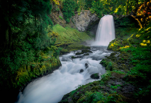 istock Sahalie Falls-Waterfall-Willamette National Forest-Oregon 664455846
