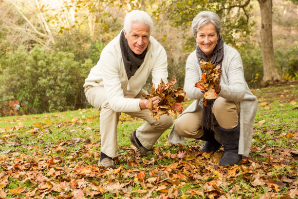 istock Senior couple in the park 664461740