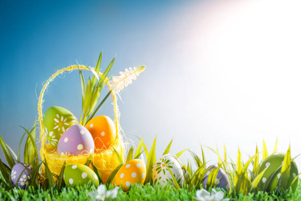 istock Easter holiday with tulip flowers and egg in basket 664469904