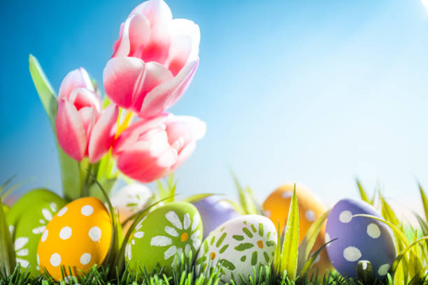 istock Easter eggs hiding in the grass with tulips 664470164