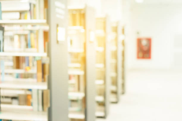 istock Library room interior blur background for your design 664473766