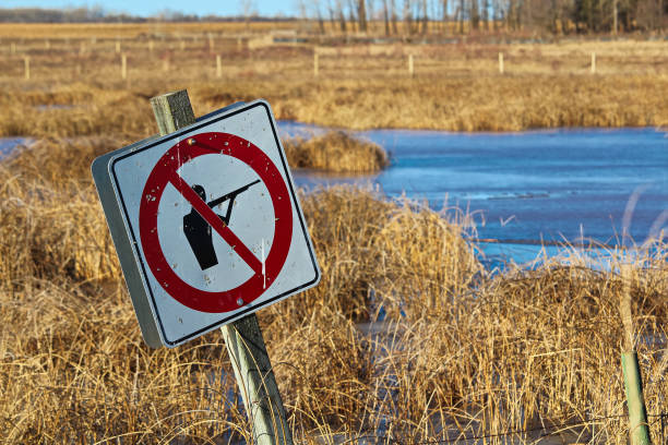 istock Bullet ridden sign along a wildlife pathway 664476878