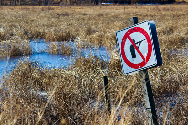 istock Shot up No Shooting sign along a nature path 664476884