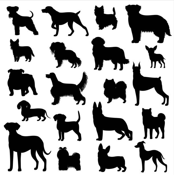 illustrazioni stock, clip art, cartoni animati e icone di tendenza di cane silhouette set - cracco