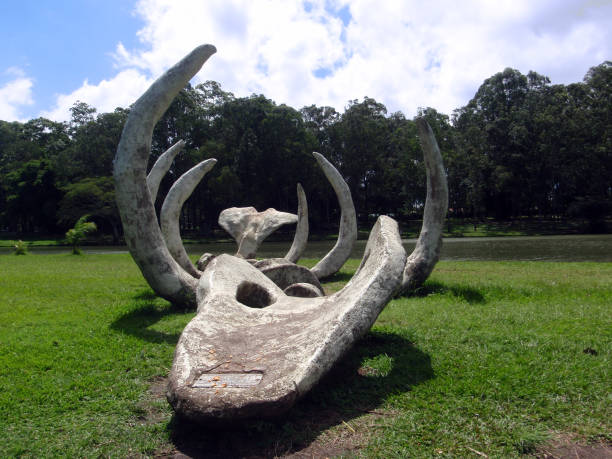 istock Large Aquatic Dinosaur Skeleton displayed in a park by a lake 664480694