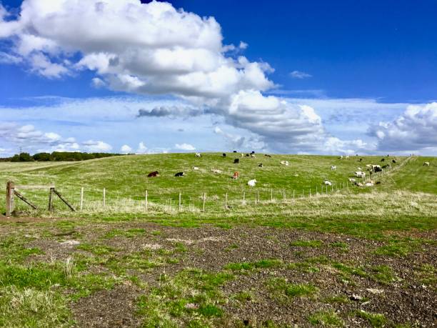 istock Farm in Bedfordshire 664494994