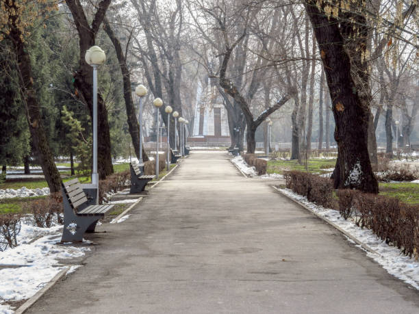 istock Alley in the city park 664502108